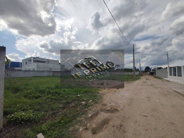 #36 - Área para Venda em São José dos Pinhais - PR