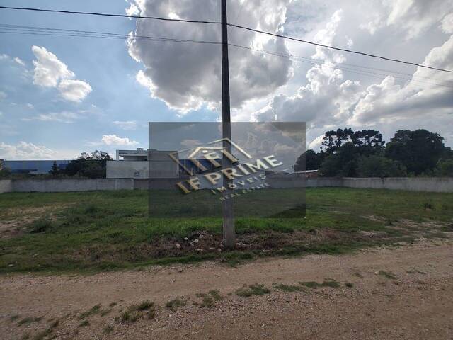#36 - Área para Venda em São José dos Pinhais - PR